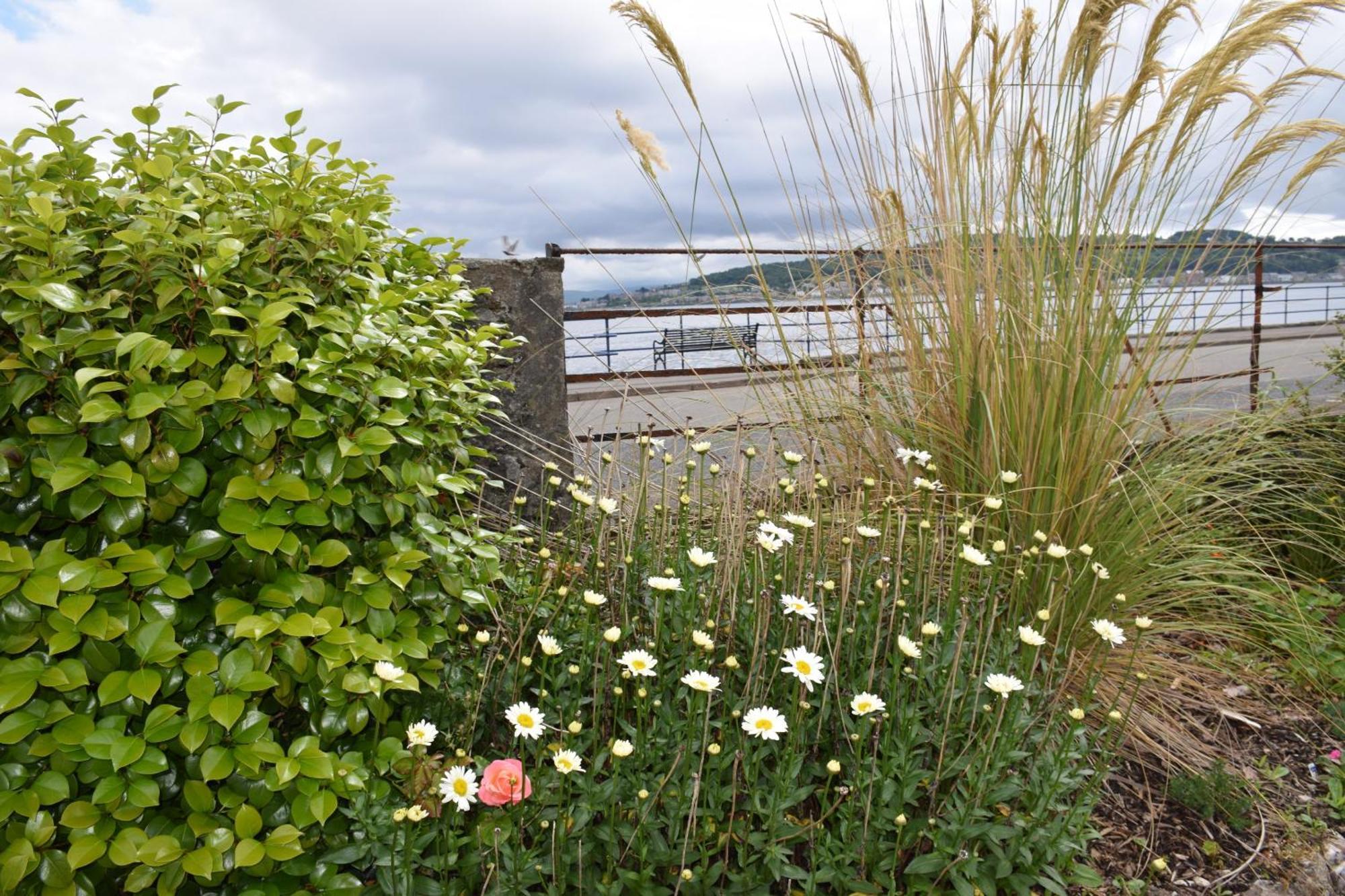 One Marine Place Port Bannatyne 外观 照片